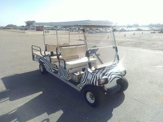 Clubcar 6 Seater Golf Cart Photo