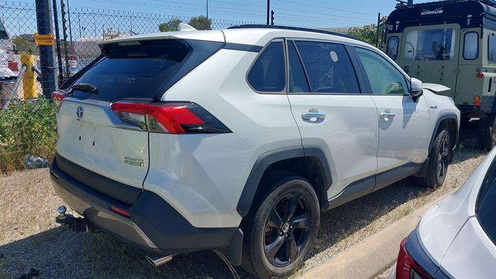 Lazy Owl Image