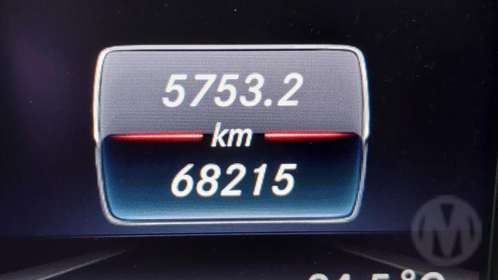Lazy Owl Image