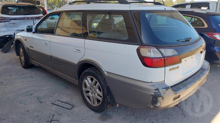 Lazy Owl Image