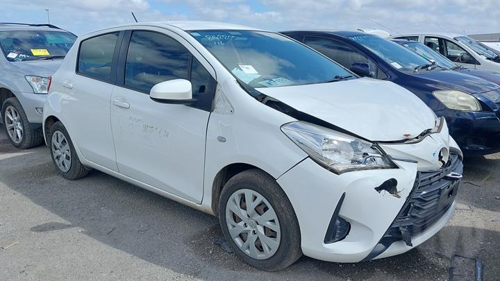 Lazy Owl Image