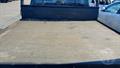 Lazy Owl Image