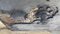 Lazy Owl Image