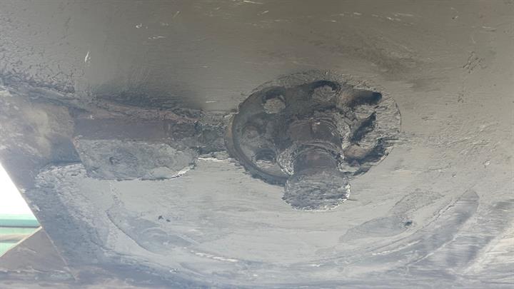 Lazy Owl Image