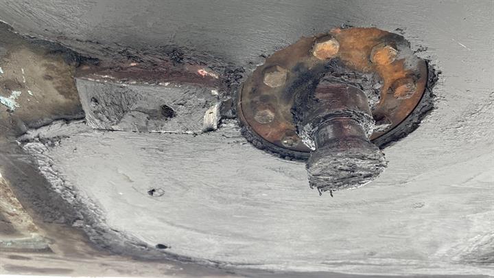Lazy Owl Image