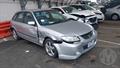 Lazy Owl Image