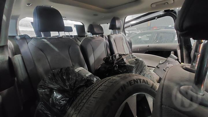 Lazy Owl Image