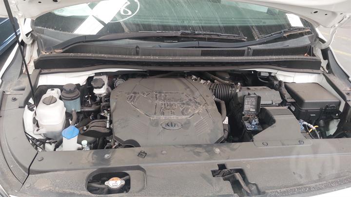 Lazy Owl Image