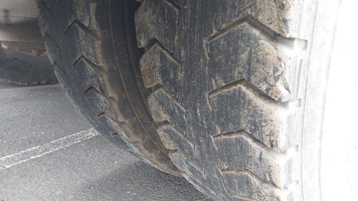 Lazy Owl Image