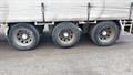 Lazy Owl Image