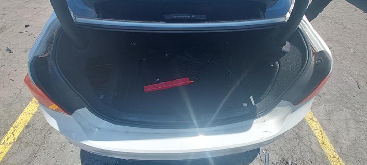 Lazy Owl Image