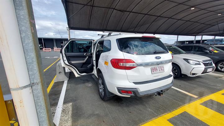 Lazy Owl Image