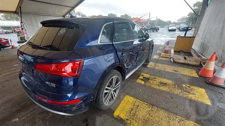 Lazy Owl Image