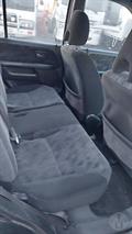 Lazy Owl Image