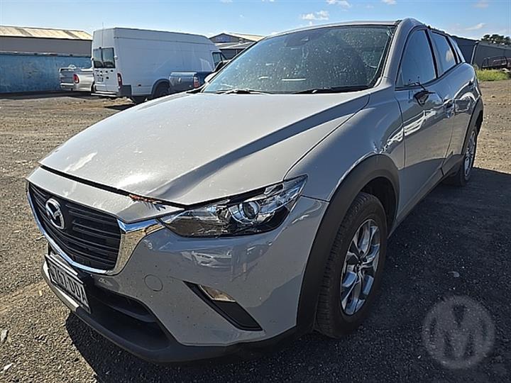 Lazy Owl Image