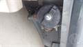 Lazy Owl Image