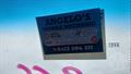 Lazy Owl Image
