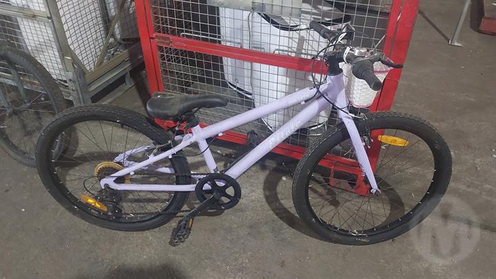 Lazy Owl Image