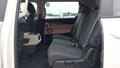 Lazy Owl Image