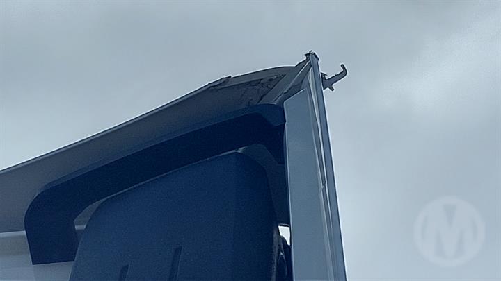 Lazy Owl Image