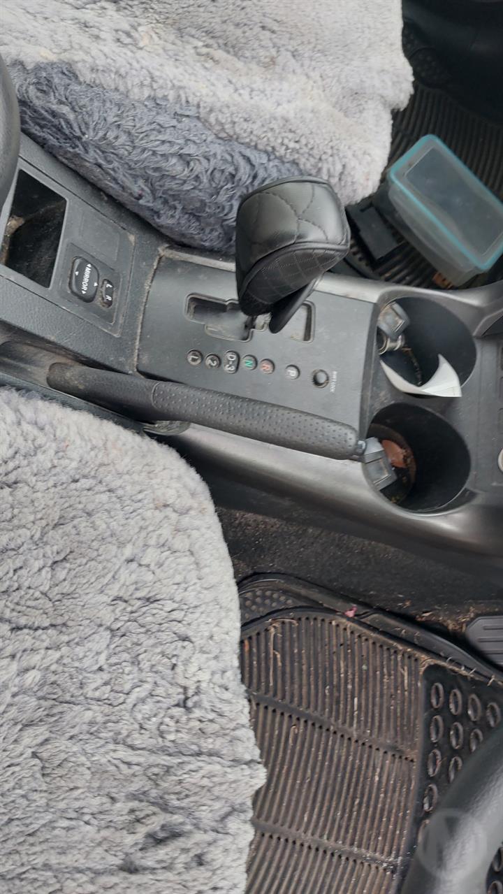 Lazy Owl Image