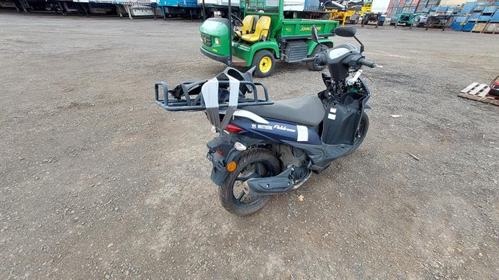 Lazy Owl Image