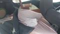 Lazy Owl Image