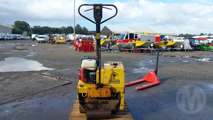 Lazy Owl Image