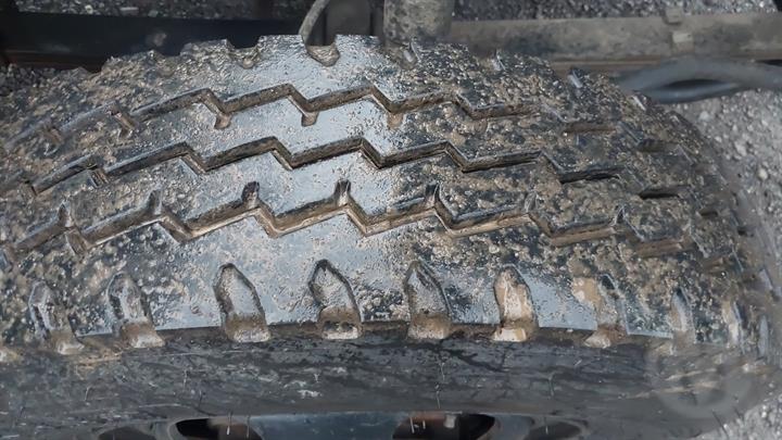 Lazy Owl Image