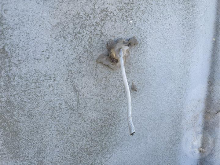 Lazy Owl Image