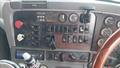 Lazy Owl Image