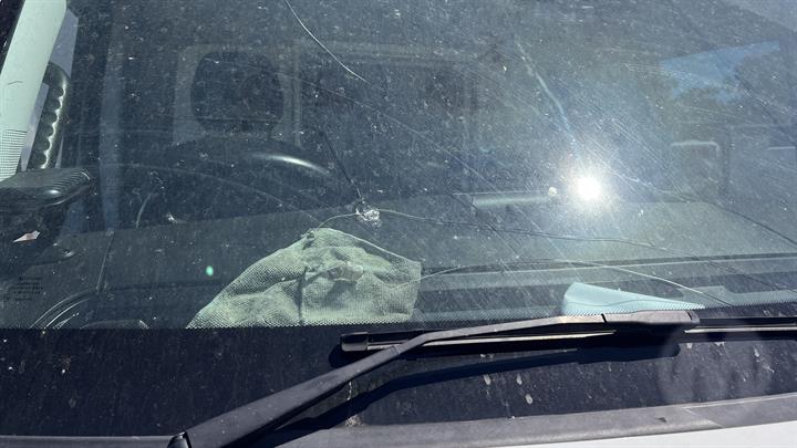 Lazy Owl Image