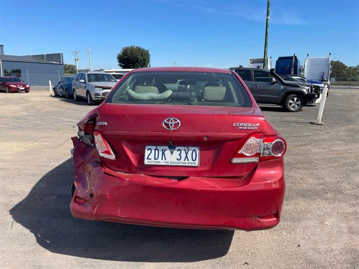 Lazy Owl Image