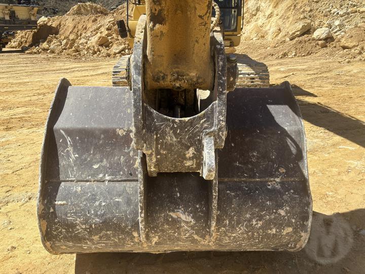 Lazy Owl Image