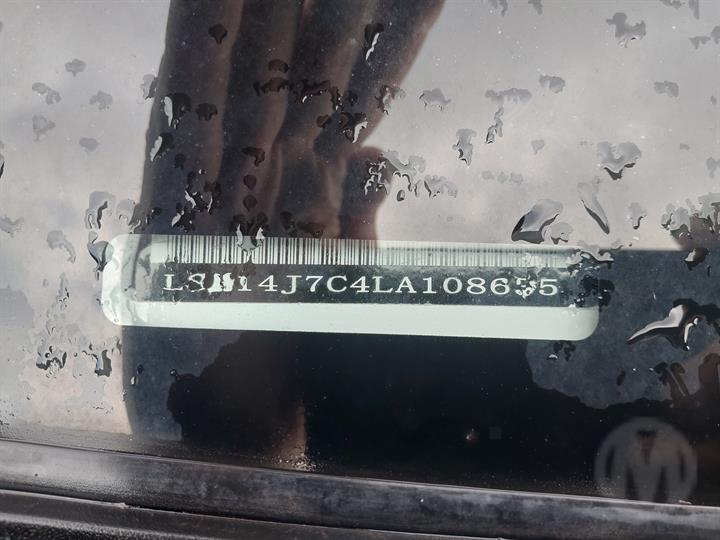 Lazy Owl Image