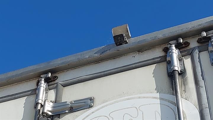 Lazy Owl Image
