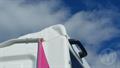 Lazy Owl Image