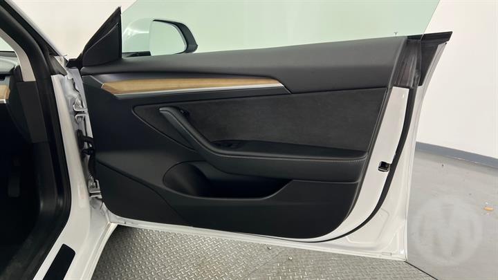 Lazy Owl Image