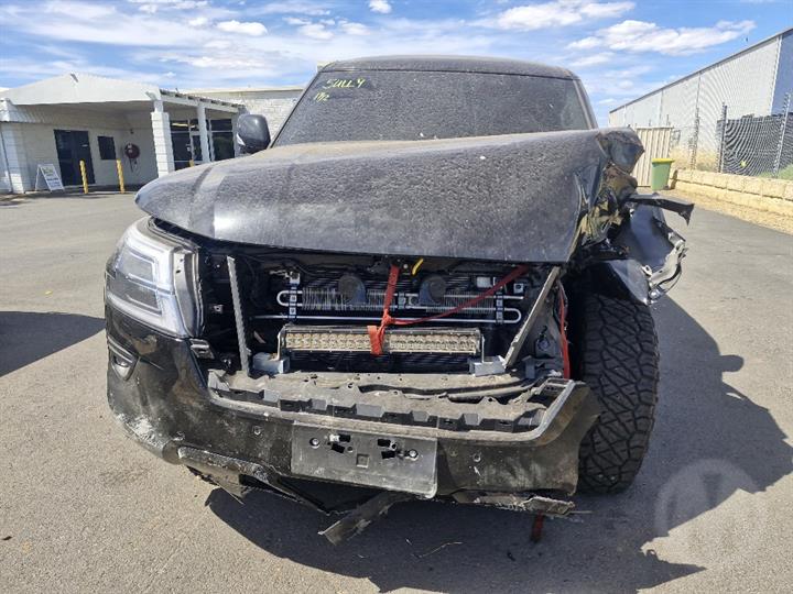 Lazy Owl Image