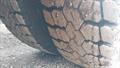 Lazy Owl Image