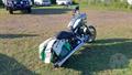 Lazy Owl Image