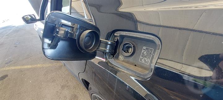 Lazy Owl Image