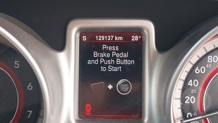 Lazy Owl Image