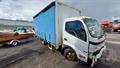 Lazy Owl Image