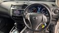 Lazy Owl Image