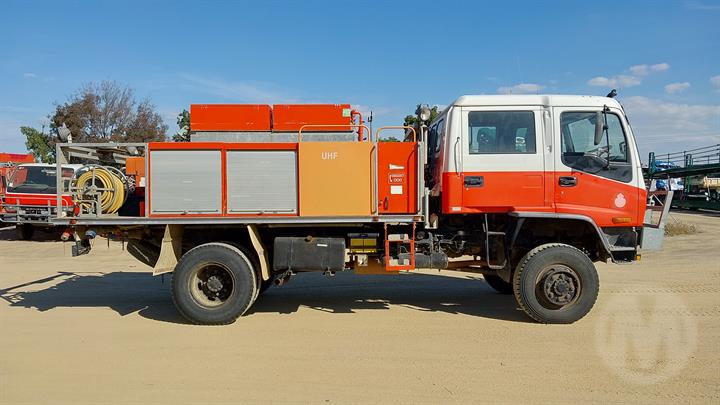 Lazy Owl Image