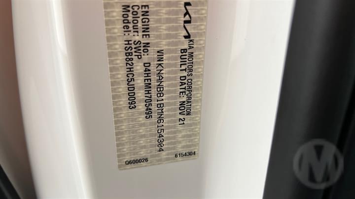 Lazy Owl Image