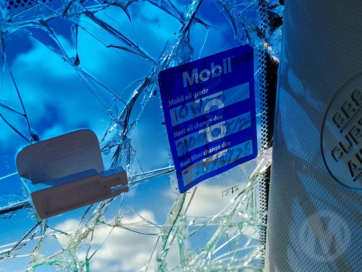 Lazy Owl Image