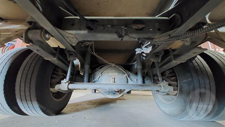 Lazy Owl Image