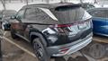 Lazy Owl Image